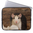 Search for mouse hole Rodent