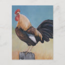 Search for bird barnyard postcards Farm