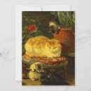 Search for funny cat save the dates Kittens