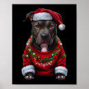 Search for daddy pitbull posters Puppy