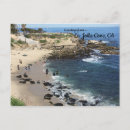Search for la jolla ca postcards Seals