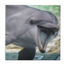 Search for bottlenosed dolphin tiles Nature
