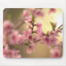 Search for pink easter electronics Flower