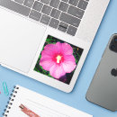 Search for rose box photography Botanical