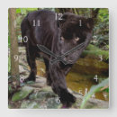 Search for black panther clocks Animal