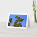 Search for horticulture cards Leaf