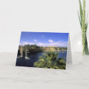 Search for nile cards Photography