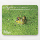 Search for algae mouse mats Nature