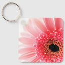 Search for gerberas key rings Flora