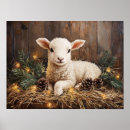 Search for sheep posters Rustic