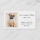 Search for bullmastiffs Fawn