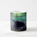 Search for green sea turtle mugs Underwater