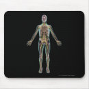 Search for nervous electronics Human