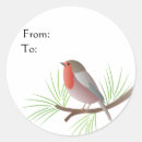 Search for robin bird stickers Pine