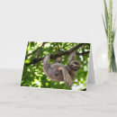 Search for happy monkey photography Co worker