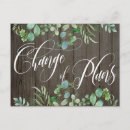 Search for eucalyptus postcards Foliage