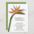Search for tropical invitations Elegant