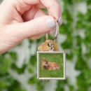 Search for young animal key rings Woodland