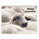 Search for sheep gifts Animal