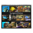 Search for aquarium office supplies Marine