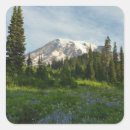 Search for mounting stickers Nature