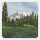 Search for mount rainier stickers Nature