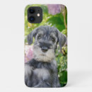 Search for schnauzers iphone cases Cute