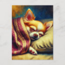 Search for dog napping postcards Chihuahua