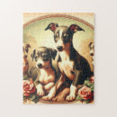 Search for greyhound puzzles Italian greyhound dog