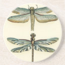 Search for dragonfly coasters Animals