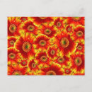 Search for postage red Bright