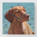 Search for vizsla art Nature