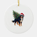 Search for bernese mountain dog christmas tree decorations Puppy
