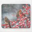 Search for cardinal mouse mats Winter