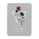 Search for taurus magnets Bull