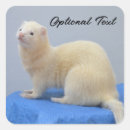 Search for ferret stickers Pet