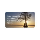 Search for lakes return address labels Sun