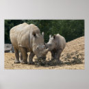 Search for rhinoceroses art White