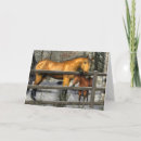 Search for horse lover cards Snow