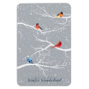 Search for winter rectangular magnets Snow