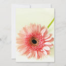 Search for gerbera cards Garden