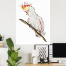 Search for parrot posters Cute