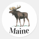 Search for augusta stickers Maine
