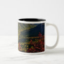 Search for gorge mugs Appalachian mountains
