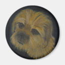 Search for border terrier magnets Puppy