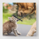 Search for friends clocks Couple