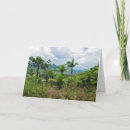 Search for mountain flora cards Landscape