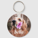 Search for cute animal key rings Modern simple template
