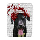 Search for fascination magnets Antique