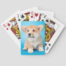 Search for corgi playing cards Canine